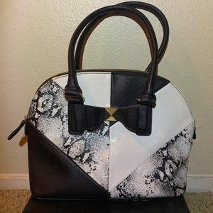 Color Block Snake Purse